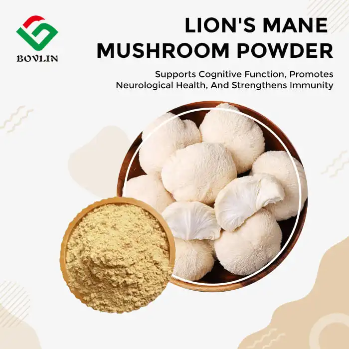 Lion's Mane Mushroom Extract Powder